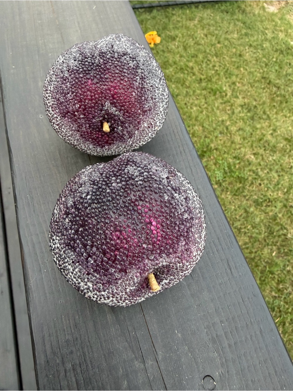 Decorative Frosted Plum Accent - Faux Fruit